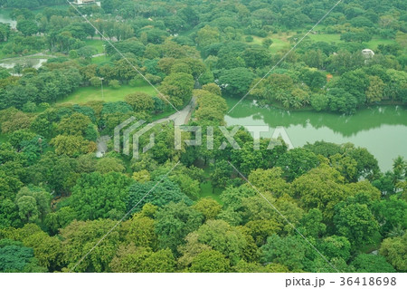 バンコクのルンピニー公園（Lumphini Park in Bangkok, Thailand） 36418698