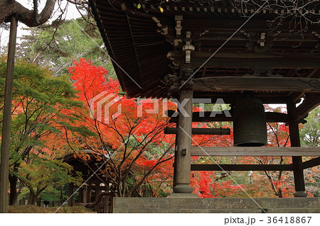 東漸寺 紅葉 東漸寺 紅葉 36418867