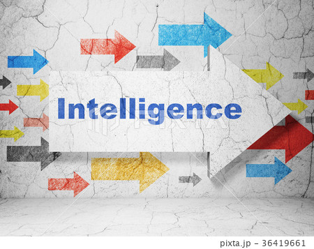 Education concept: arrow with Intelligence on 36419661