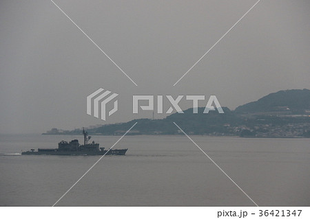 やまゆき 36421347