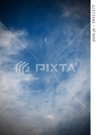 月　半月　飛行機　雲 36421375