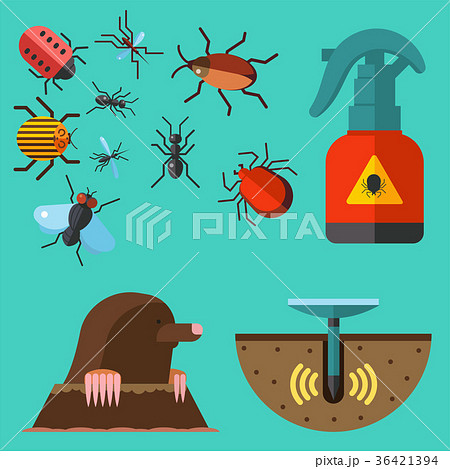 Home pest insect vector control expert vermin-插圖素材[36421394