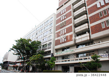 盛岡市役所本庁舎(奥)と手前別館(岩手県盛岡市) 盛岡市役所本庁舎(奥)と手前別館(岩手県盛岡市) 36422448