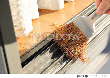 サッシの掃除 36422639