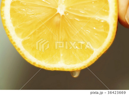 36423669
