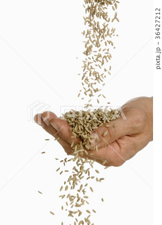 36427212