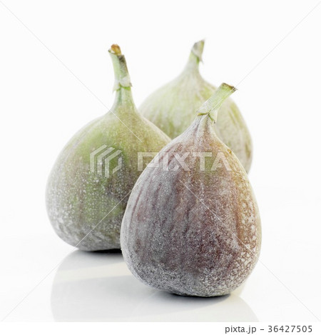 36427505