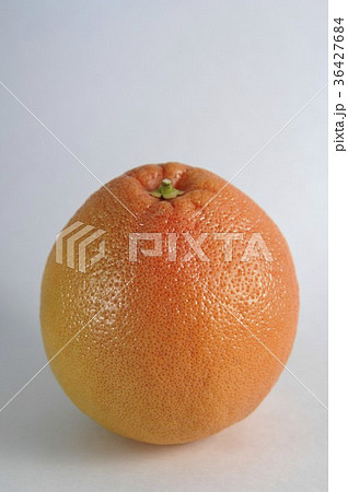 36427684