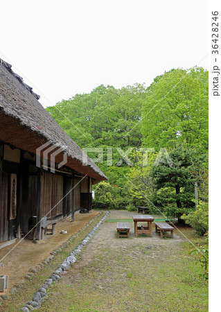 新緑のふるさと旅行村 36428246