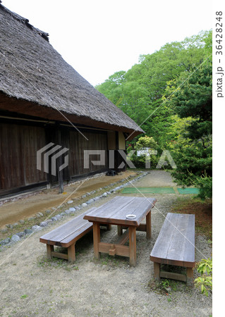 新緑のふるさと旅行村 36428248