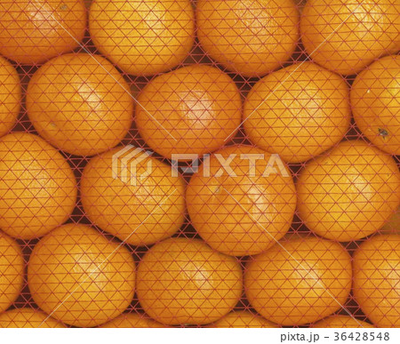 36428548