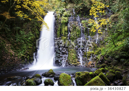 白糸の滝 白糸の滝 36430827