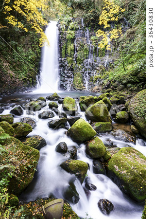 白糸の滝 36430830