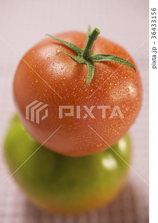 36433156