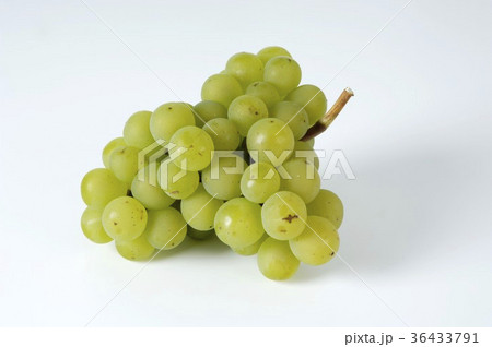 36433791