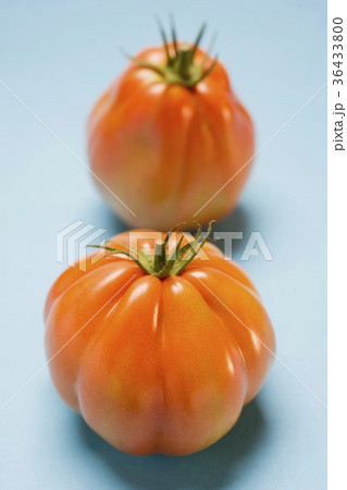 36433800