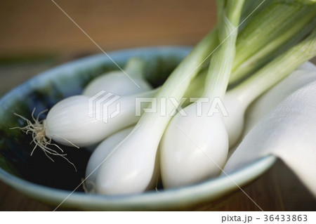 36433863