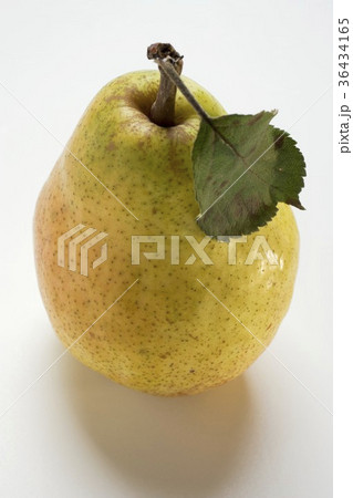 36434165