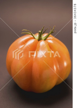 36434378