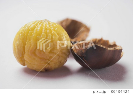 36434424