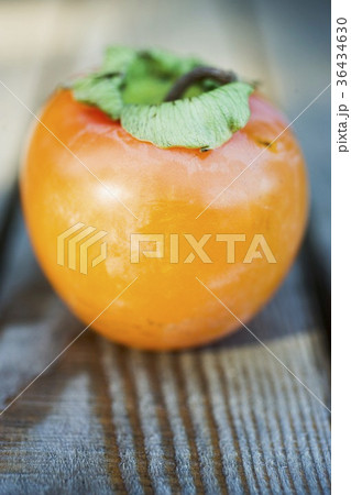 36434630