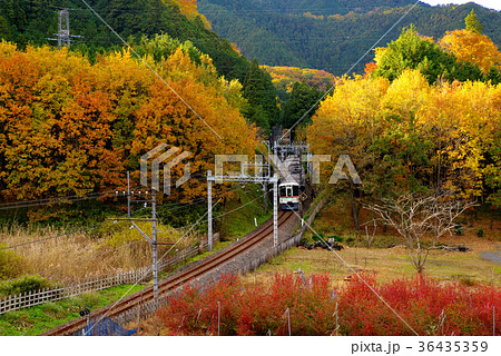 色付く秋の山を抜ける鉄道 走行中の列車 e 山の中へ 色付く秋の山を抜ける鉄道 走行中の列車 e 山の中へ 36435359