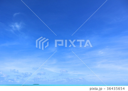 空 36435654