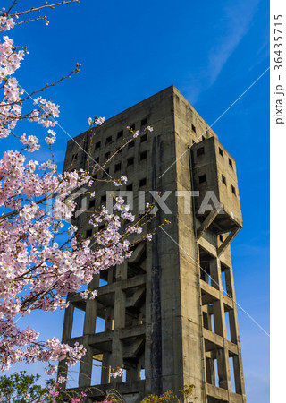 桜と志免鉱業所竪坑櫓 36435715