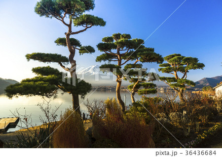 景色 風景 自然 36436684
