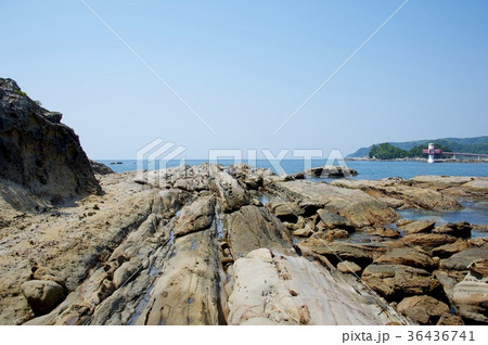 竜串海岸の奇岩 竜串海岸の奇岩 36436741