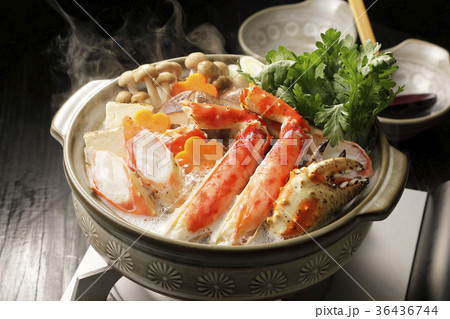 カニ鍋 カニ鍋 36436744