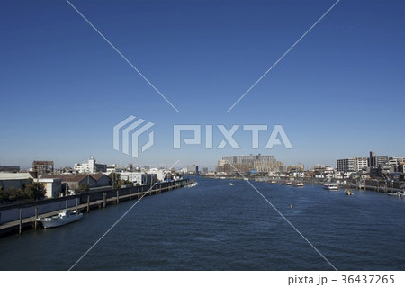 浦安市 12月 浦安市 12月 36437265