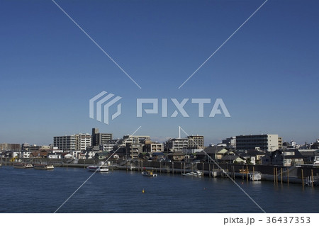 浦安市 12月 36437353