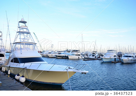 横浜ベイサイドマリーナ 36437523