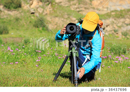 young woman photographer set the tripod outdoors 36437696