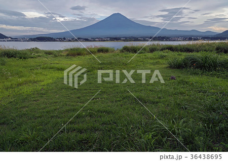 富士山と河口湖 富士山と河口湖 36438695