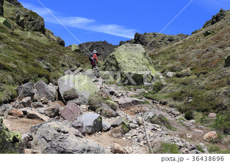 日光白根山 森林限界頂上間近(2530m付近) 日光白根山 森林限界頂上間近(2530m付近) 36438696