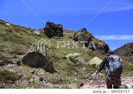 日光白根山 森林限界頂上間近（2530m付近） 36438747