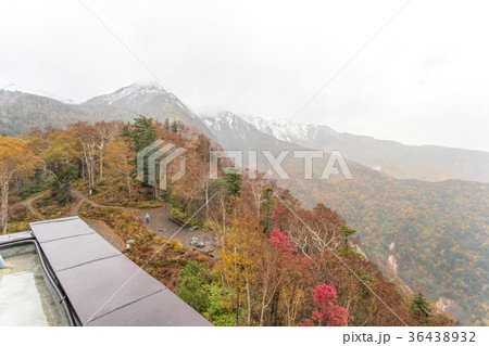 層雲峡(10月　黒岳駅　紅葉) 36438932