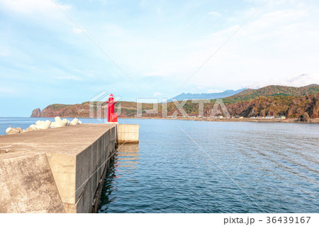 知床半島(10月　紅葉　秋　遊覧船) 36439167