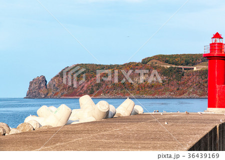 知床半島(10月 紅葉 秋 遊覧船) 知床半島(10月 紅葉 秋 遊覧船) 36439169