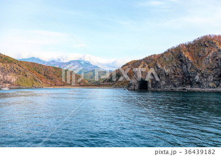 知床半島(10月　紅葉　秋　遊覧船) 36439182