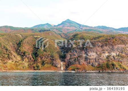 知床半島(10月　紅葉　秋　遊覧船) 36439193