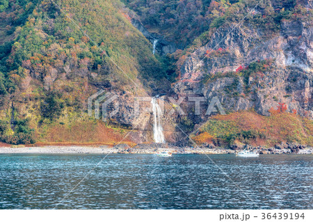 知床半島(10月　紅葉　秋　遊覧船) 36439194