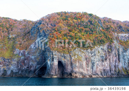 知床半島(10月 紅葉 秋 遊覧船) 知床半島(10月 紅葉 秋 遊覧船) 36439198