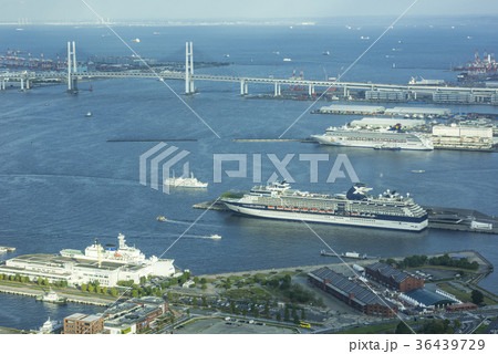 横浜港と東京湾の眺め 36439729