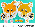 年賀状素材、戌年、子犬（柴犬）のイラスト　手描き 36439956