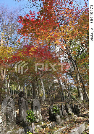 紅葉に包まれる長安寺の羅漢様 36440475