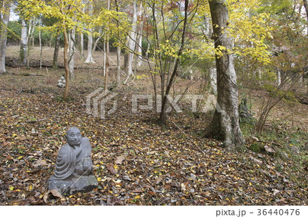 紅葉に包まれる長安寺の羅漢様 36440476