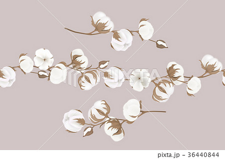 Cotton Flowers Botanical Illustrations Greetingのイラスト素材